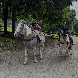 horseys horseys