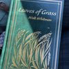 The Book Oasis gift card