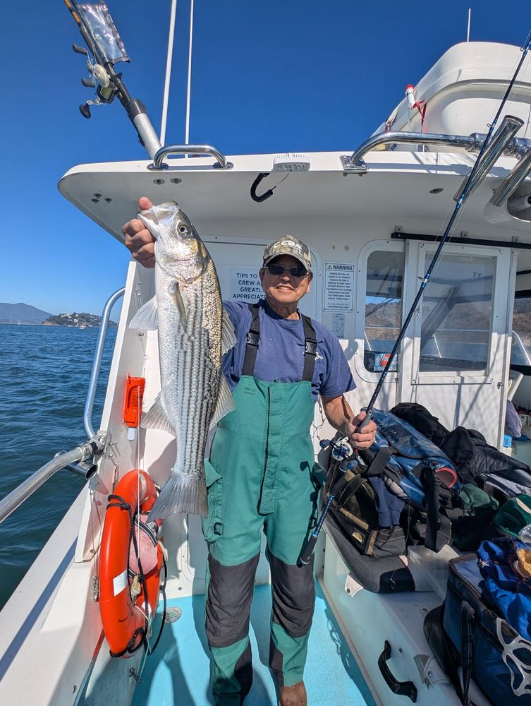 Nautilus Excursions Logo