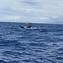 Hawaiian Paddle Sports