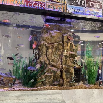 The Thumb - Fish tank - Barbeque Near Me - Scottsdale, Arizona The Thumb - Fish tank - Barbeque Near Me - Scottsdale, Arizona