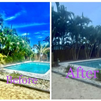 Tops Down Tree Service - Cleaned up all arecas overhanging pool and fence line and cleaned up and hauled away - Tree Services Near Me - Melbourne, Florida Tops Down Tree Service - Cleaned up all arecas overhanging pool and fence line and cleaned up and hauled away - Tree Services Near Me - Melbourne, Florida