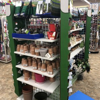 Dollar Tree - Discount Store Near Me - Miller Place, New York Dollar Tree - Discount Store Near Me - Miller Place, New York