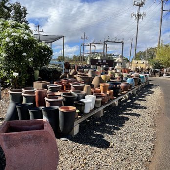 Mari's Gardens - Nurseries & Gardening Near Me - Mililani, Hawaii