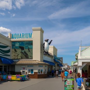 Jenkinson's Aquarium - Jenkinson's Aquarium * Point Pleasant Beach - Aquariums Near Me - Point Pleasant Beach, New Jersey Jenkinson's Aquarium - Jenkinson's Aquarium * Point Pleasant Beach - Aquariums Near Me - Point Pleasant Beach, New Jersey