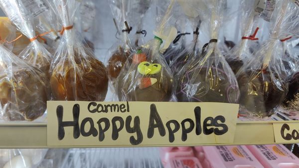 Auntie El's Farm Market by null