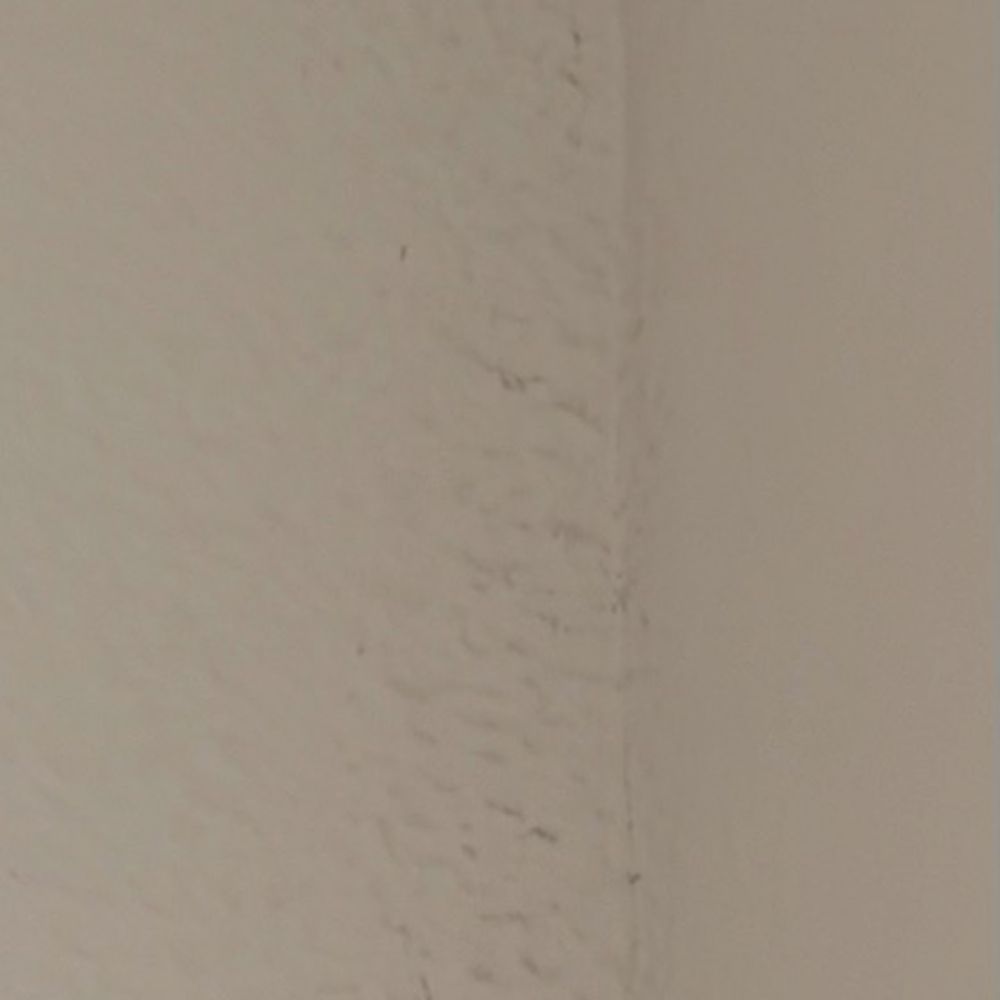 The Bowery at Southside - black mold bedroom - Apartments Near Me - Fort Worth, Texas The Bowery at Southside - black mold bedroom - Apartments Near Me - Fort Worth, Texas