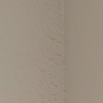 The Bowery at Southside - black mold bedroom - Apartments Near Me - Fort Worth, Texas The Bowery at Southside - black mold bedroom - Apartments Near Me - Fort Worth, Texas
