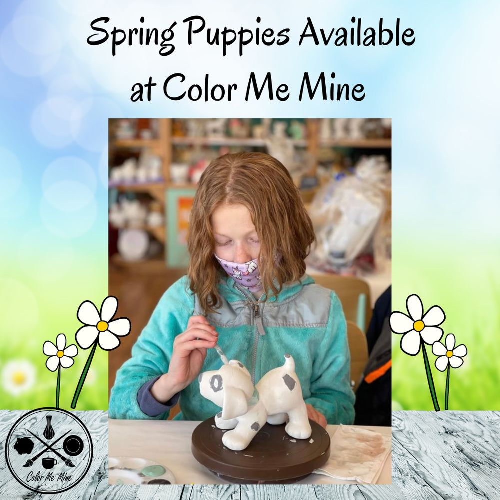 COLOR ME MINE Updated October 2024 34 Photos & 19 Reviews 3324