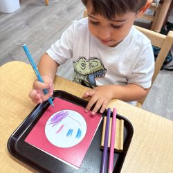 Montessori World School - Language Area Activity