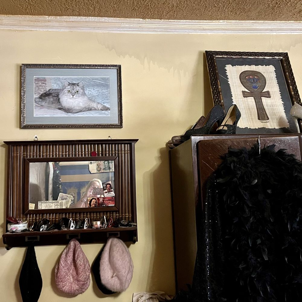 Mel's Frame Shop - Photo of Chevrolet (RIP) beautiful Persian kitty. Beautifully framed and mounted on the wall where I see her as I go to sleep and wake up. - Framing Near Me - Portland, Oregon Mel's Frame Shop - Photo of Chevrolet (RIP) beautiful Persian kitty. Beautifully framed and mounted on the wall where I see her as I go to sleep and wake up. - Framing Near Me - Portland, Oregon