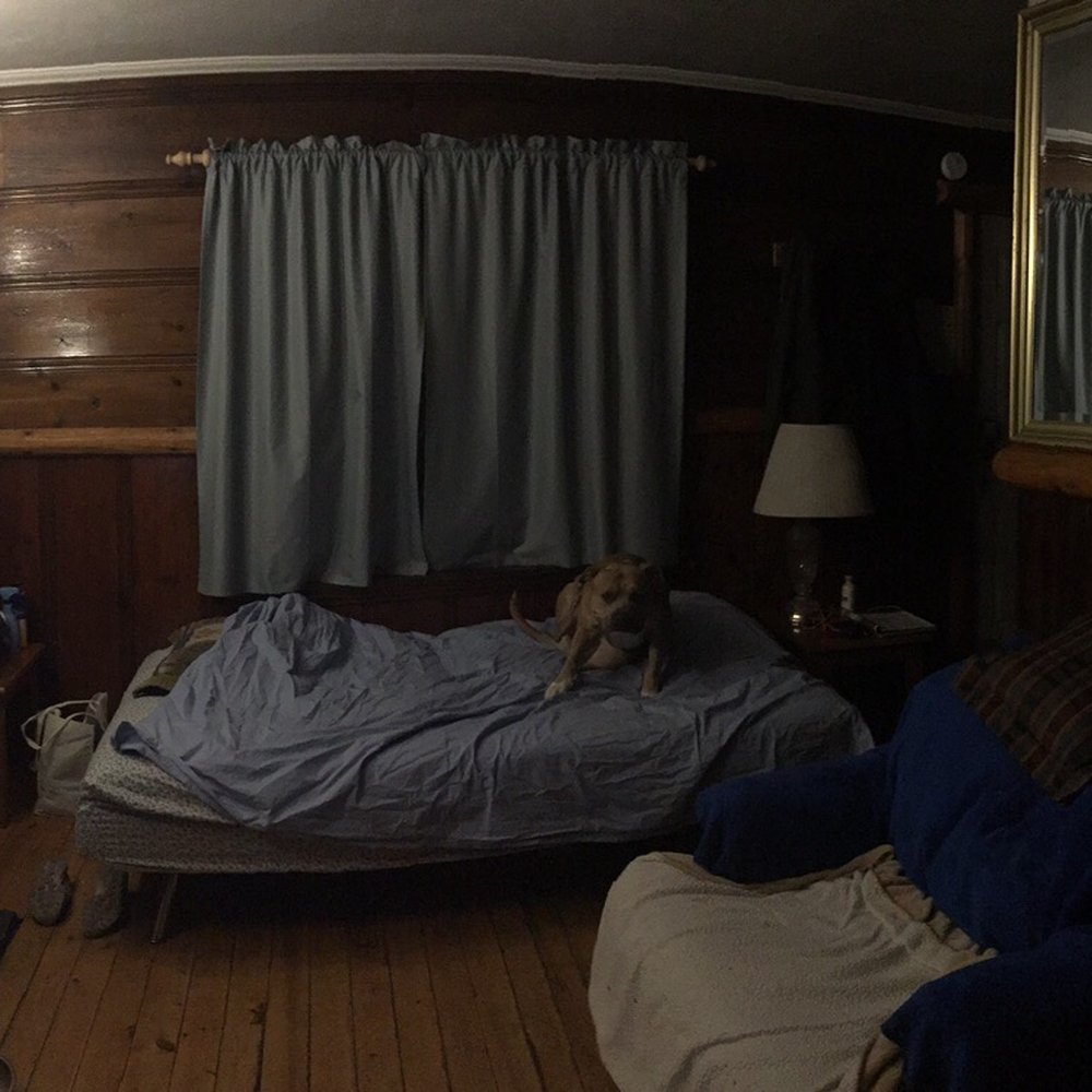 Cabins4less - Our cabin #4 living room again my boy just watching me this is also why I say bring extra blankets so your dog fur stays on your stuff - Rafting/Kayaking Near Me - Big Bear Lake, California Cabins4less - Our cabin #4 living room again my boy just watching me this is also why I say bring extra blankets so your dog fur stays on your stuff - Rafting/Kayaking Near Me - Big Bear Lake, California