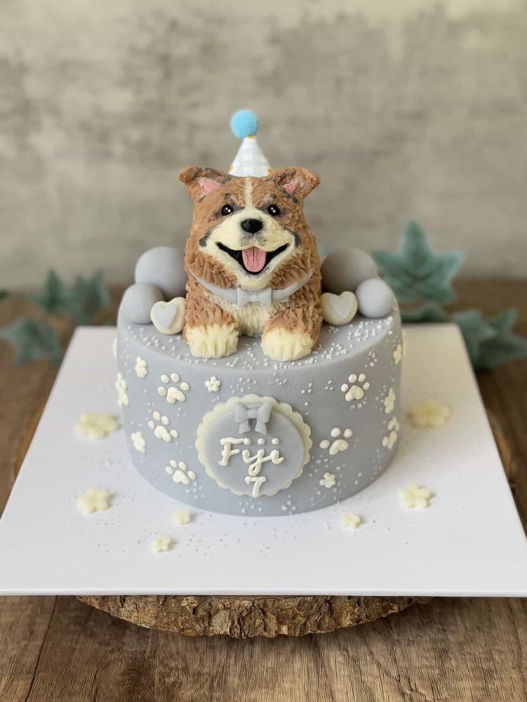 Paw Patch Pastries & Pet Boutique