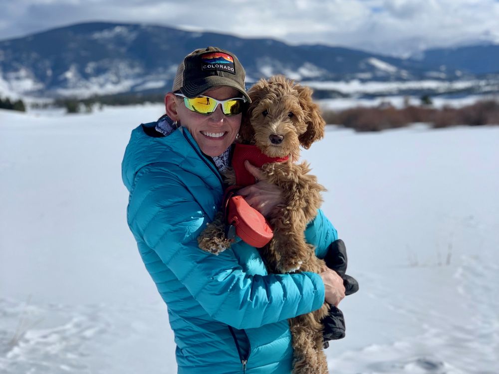 All Tails on Trails Dog Walking Image