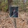 Photo of Rines Forest