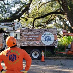 Big Bark Tree Care