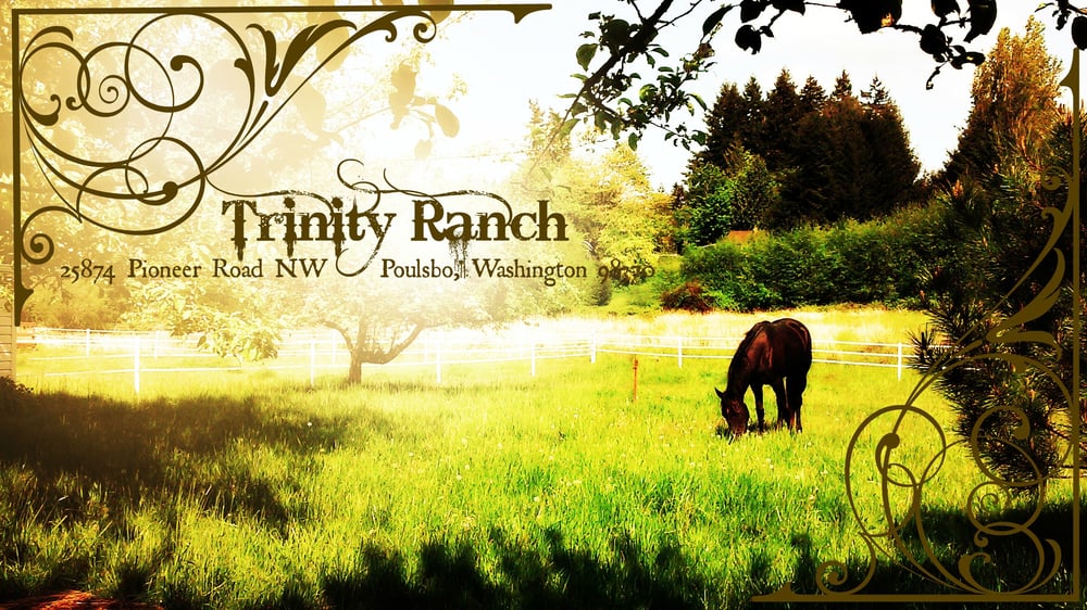 Trinity Ranch - equestrian in Poulsbo, WA