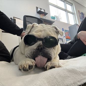 BluePearl Pet Hospital - Veterinarians Near Me - Reno, Nevada BluePearl Pet Hospital - Veterinarians Near Me - Reno, Nevada
