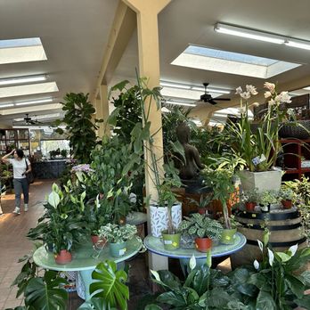 La Crescenta Nursery - payment area - Nurseries & Gardening Near Me - Glendale, California
