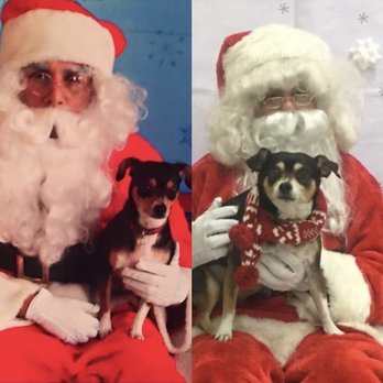PetSmart - Sadie at 2008 Petsmart & Adam & Sadie 2018  We Adam - Pet Training Near Me - Rancho Santa Margarita, California