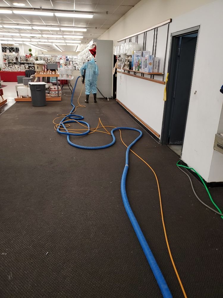 A+ CARPET CLEANING & JANITORIAL SERVICES Updated May 2024 17 Photos