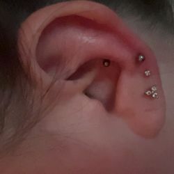 Eternal Ink Tattoos - Conch and outer ear piercing