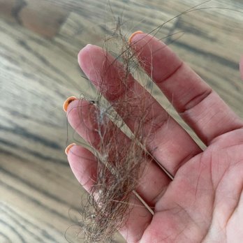 Space Center - wads of hair left everywhere. - Office Cleaning Near Me Space Center - wads of hair left everywhere. - Office Cleaning Near Me