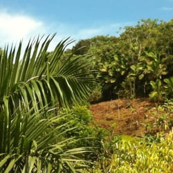 Hacienda Don Felo