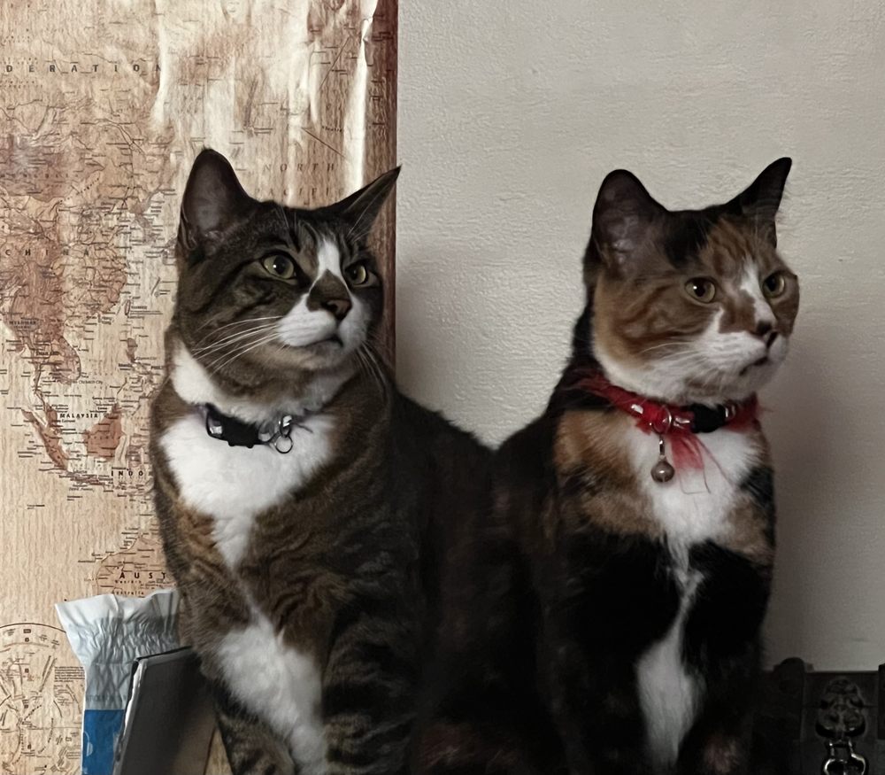 Social spots from Pixiescience