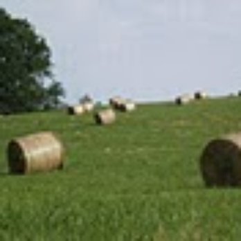 la Charmance - Bed & Breakfast Near Me - Xertigny, 88