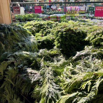 Armstrong Garden Centers - Nurseries & Gardening Near Me - Sherman Oaks, California