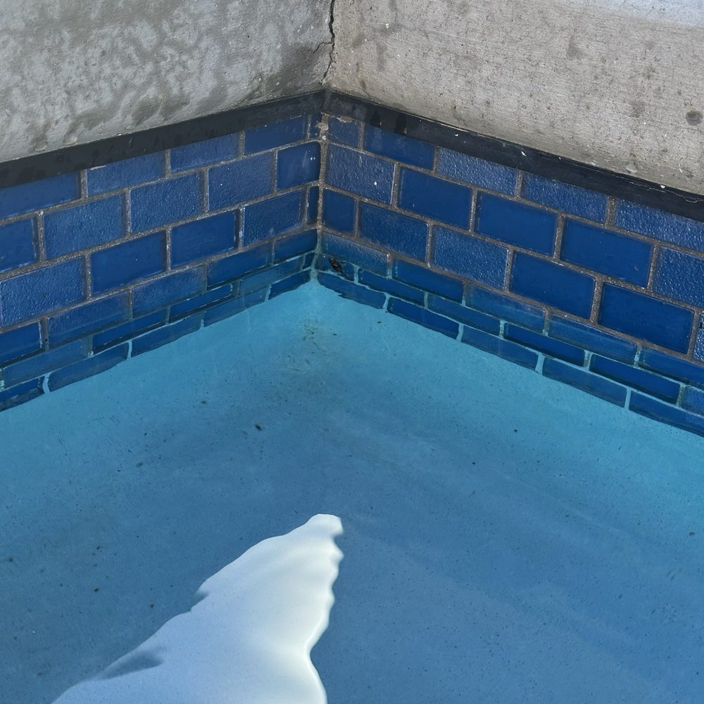 Family Time Pools - Pretty much cracked few weeks after the concrete pour and it's like this in every corner. Pool company tried to repair the top of the crack. - Pool & Hot Tub Service Near Me - Elk Grove , California Family Time Pools - Pretty much cracked few weeks after the concrete pour and it's like this in every corner. Pool company tried to repair the top of the crack. - Pool & Hot Tub Service Near Me - Elk Grove , California