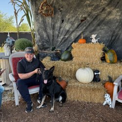 Canine Obedience College
