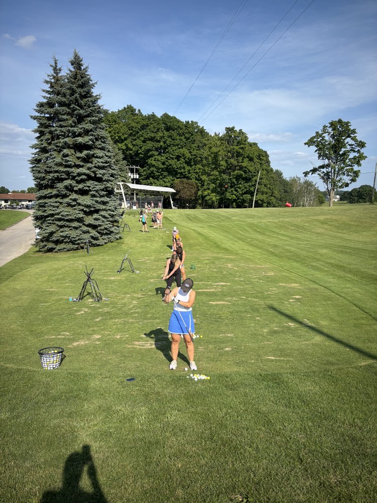Biz Golf Instruction Logo