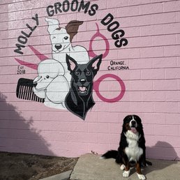 Beautiful mural right outside Molly's shop. Beautiful mural right outside Molly's shop.