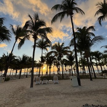 Hotel Riu Playcar - Hotels Near Me - Playa del Carmen, ROO Hotel Riu Playcar - Hotels Near Me - Playa del Carmen, ROO