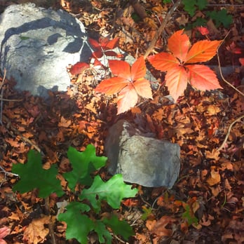 Lost Maples State Park - November 2013 - Parks Near Me - Vanderpool, Texas Lost Maples State Park - November 2013 - Parks Near Me - Vanderpool, Texas