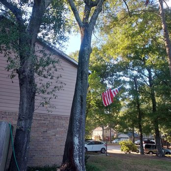 N2deep Stump Grinding and Removal - Tree Services Near Me - Porter, Texas N2deep Stump Grinding and Removal - Tree Services Near Me - Porter, Texas