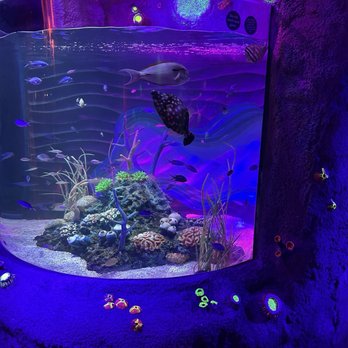 SEA LIFE Florida - Amusement Parks Near Me - Winter Haven, Florida SEA LIFE Florida - Amusement Parks Near Me - Winter Haven, Florida