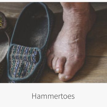 Stephanie van Heerden, DPM, FACFAS - Podiatrists Near Me - Naples, Florida