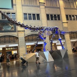 A big sauropod. A big sauropod.