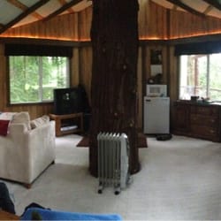 Whidbey Wellness in the Woods - View of the treehouse from bed.