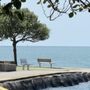 Photo of Cleveland Point Reserve