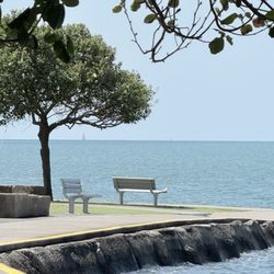 Cleveland Point Reserve