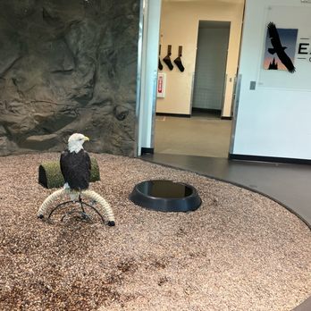 National Eagle Center - Museums Near Me - Wabasha, Minnesota