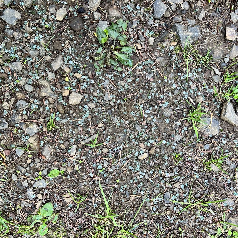 Soapstone Lake Trail - Soapstone Lake Trail - lots of broken glass at trailhead parking - Hiking Near Me - Seaside, Oregon Soapstone Lake Trail - Soapstone Lake Trail - lots of broken glass at trailhead parking - Hiking Near Me - Seaside, Oregon