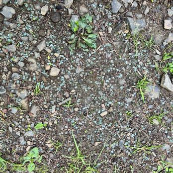 Soapstone Lake Trail - Soapstone Lake Trail - lots of broken glass at trailhead parking - Hiking Near Me - Seaside, Oregon