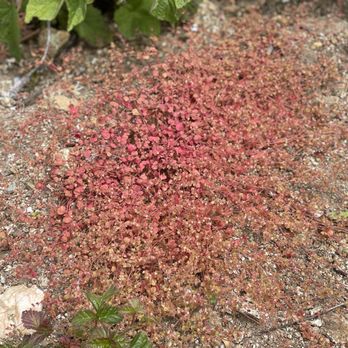 McNee Ranch State Park - Random pics from a recent hike - Parks Near Me