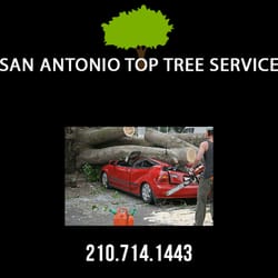 San Antonio Top Tree Service