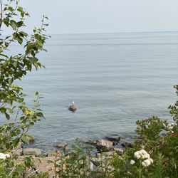 Kitchi Gammi Park
